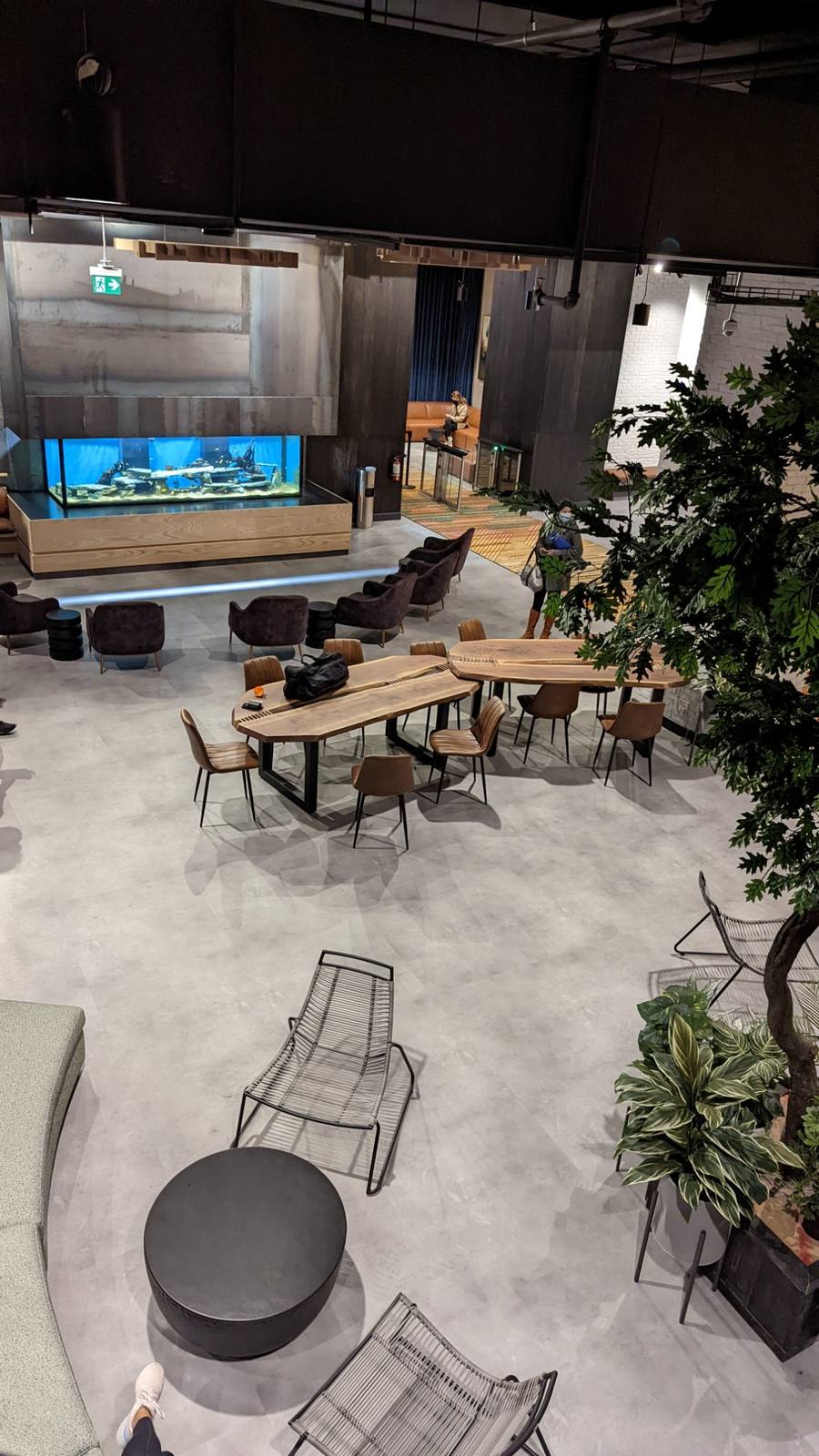 Altea Active Toronto – birds-eye view of the Tree Lounge, live-edge tables and indoor tree